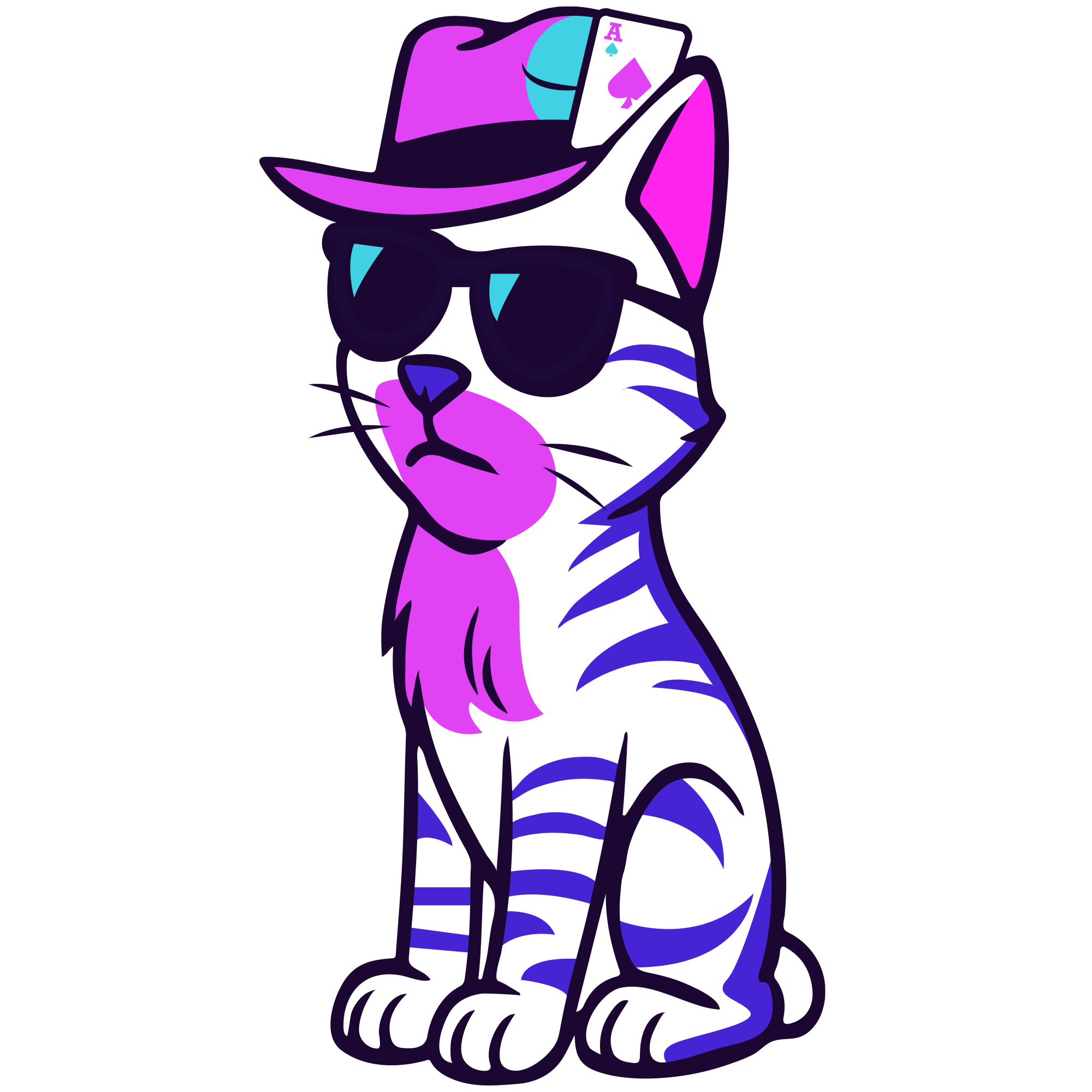 Gato Elegante
